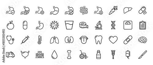 Medical and anatomy line icon set. Vector pictograms of stomach, liver, lungs, kidneys, heart, brain, ambulance, syringe, microscope and dna, thin outline illustration.