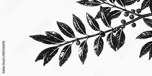 A delicate branch with dark leaves and small berries presented in monochrome