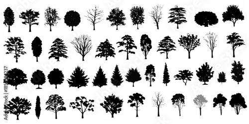 Collection of various black silhouette tree shapes and forms displayed in rows