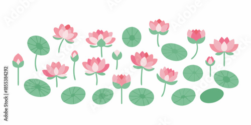 A delicate arrangement of pink lotus flowers and green lily pads
