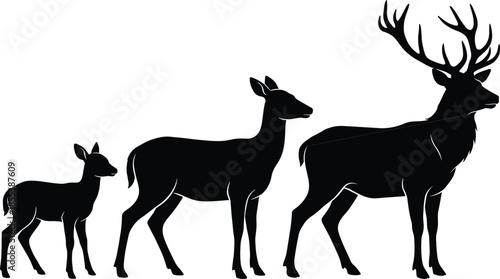Deer family silhouette illustration, wild animals growth stages, nature wildlife concept, forest mammals, minimalist black animal design