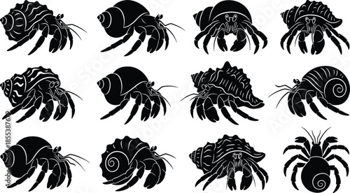 Hermit crab silhouette icons set, marine crustacean animals in shells, ocean wildlife illustration, black sea creature collection