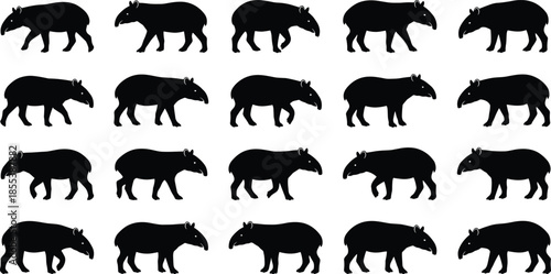 Tapir silhouette icons set, wild mammal animals in walking poses, tropical rainforest wildlife, black nature illustration collection