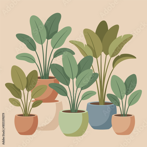 Group of Potted Houseplants in Various Pots.