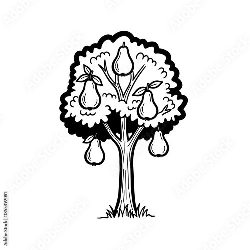 Black and White Illustration of Pear Tree.
