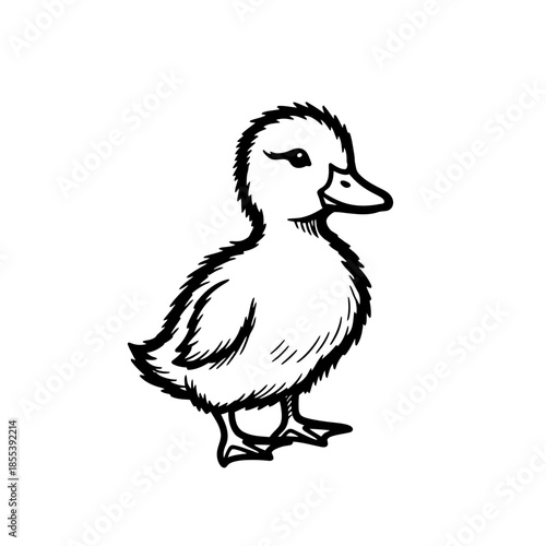 Black and White Cartoon Duck Illustration.