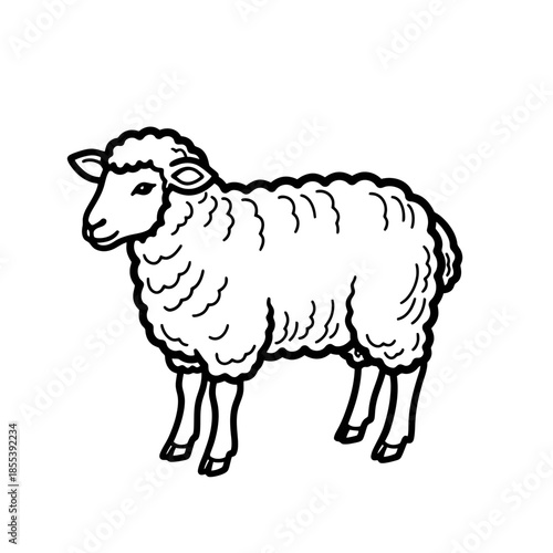 Sheep Standing Alone Simple Line Drawing.