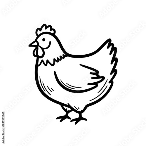 Black and White Chicken Illustration.