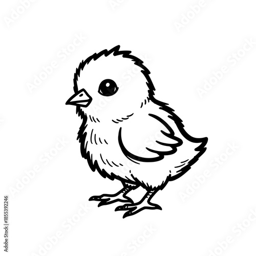 Small Cartoon Bird Standing on One Leg.