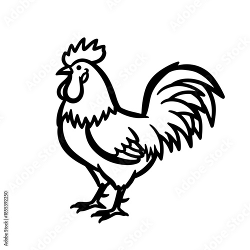 Black and White Rooster Illustration Standing.