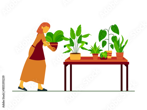 A woman holding a potted plant is caring for or arranging ornamental plants on the table. Urban farming vector illustration. Flat illustration concept.