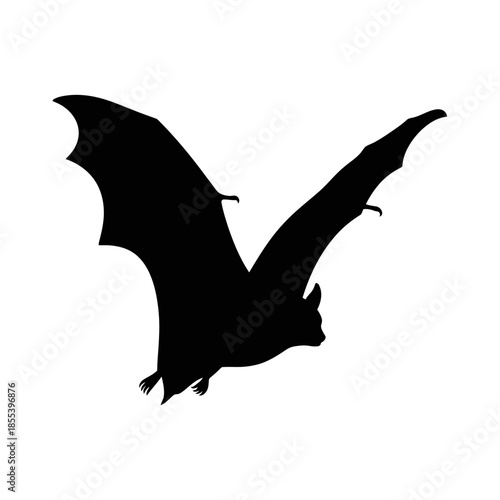 A striking silhouette of a bat in mid flight against a white background