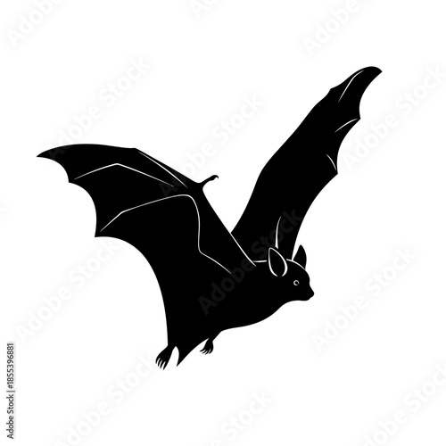 A graphic silhouette of a bat in mid flight against a white background