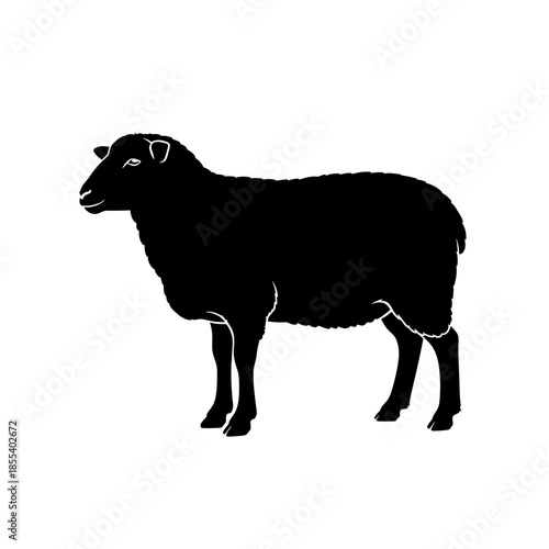 Silhouette of a Black Sheep Standing on White Background.