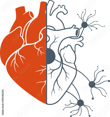 A striking graphic depicting a heart split, one side logical, the other neural. ?Logic With Heart? text overlay. Modern, minimalist design.