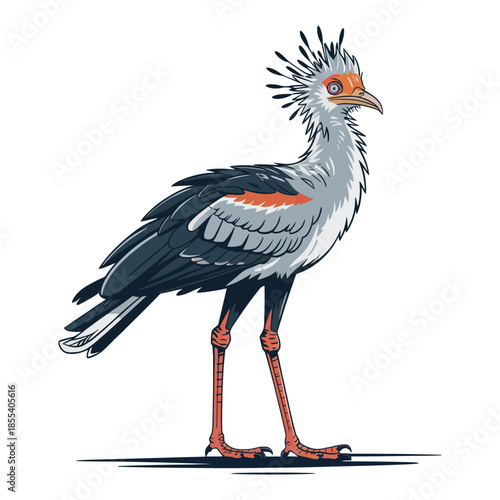 Secretary bird