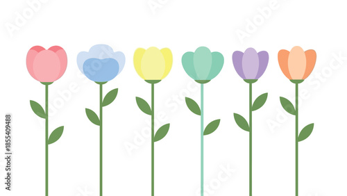 Colorful tulips vector illustration on white background