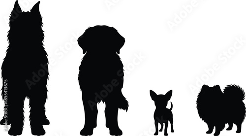 Dog breed silhouettes, canine comparison, pet size chart, black illustration, animal shapes, side view, isolated, white background, variety