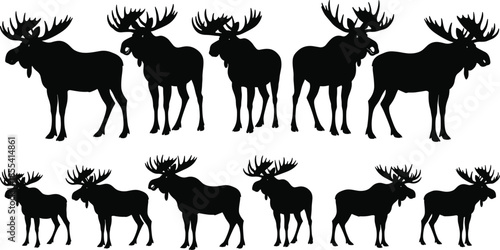 Collection of black moose silhouettes featuring large antlers in various standing poses for wilderness, forest, nature, and hunting design concepts,