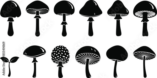 Collection of black mushroom silhouettes featuring various fungi species, poisonous toadstools, and forest organic plants isolated on a white background,