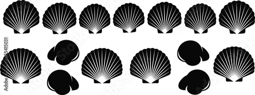 Collection of black seashell silhouettes including fan shaped scallop shells and spiral sea snail shells isolated on a white background,
