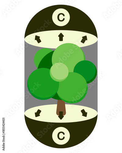 Forests functioning as carbon emission and absorption vectors, carbon particles visualized in an abstract capsule style.