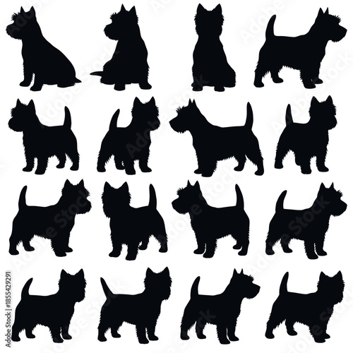 Collection of West Highland White Terrier Silhouettes.
