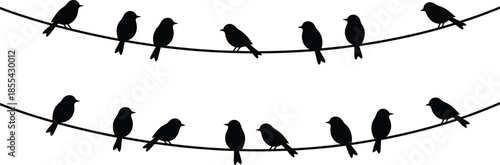 Bird silhouettes on wire set, perched flying birds collection, black wildlife nature icons isolated on white background vector illustration