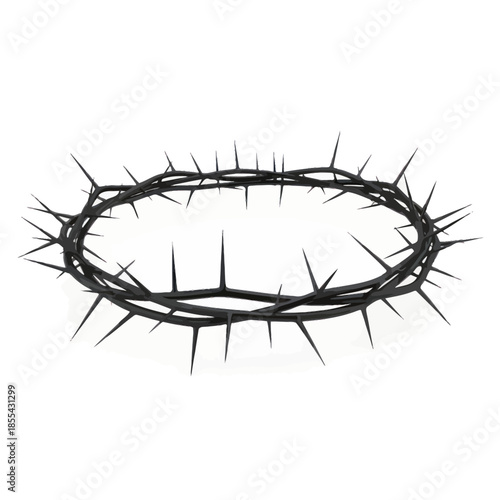 Crown of Thorns A Symbol of Sacrifice and Suffering 5.