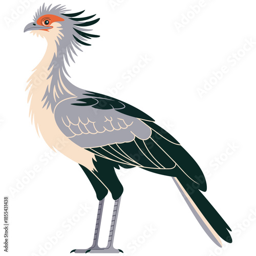 Secretary bird