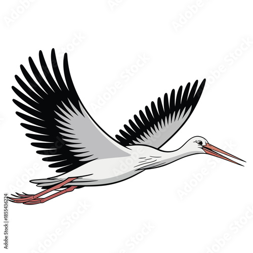 stork in flight
