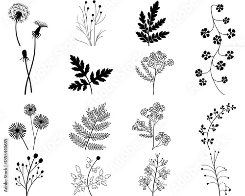 Monochromatic collection of wildflower and fern botanical illustrations