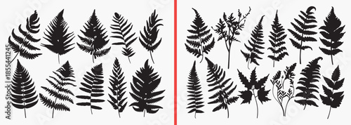 fern leaf silhouettes vector, botanical fern clipart, tropical leaf svg, plant foliage illustration, nature leaf graphics, black fern silhouettes, jungle plant vector art, forest leaf design, botanica