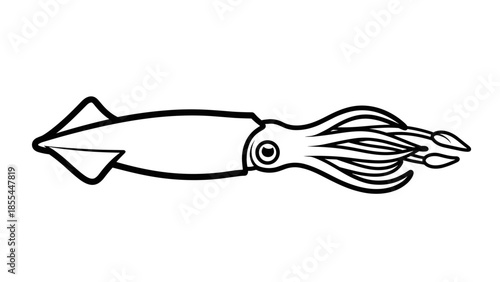 Black and White Squid Illustration.