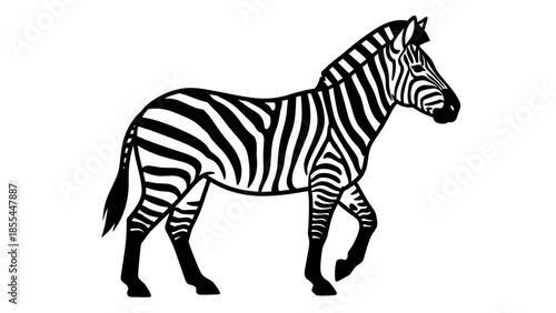 Black and White Zebra Illustration Side View.