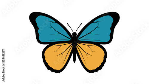 Colorful Butterfly with Blue and Yellow Wings.