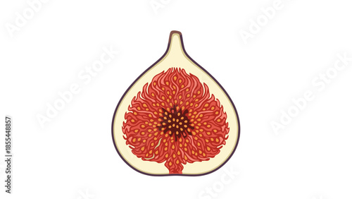 Fresh Fig Fruit Cut Open.