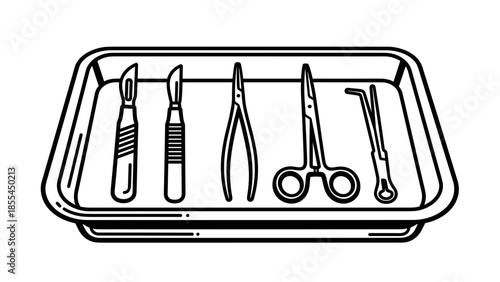 Surgical Instruments in a Tray.