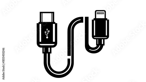 USB C to Lightning Cable Illustration.