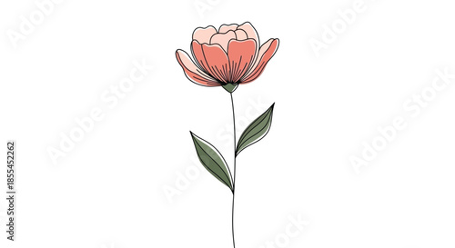 A delicate pink flower illustration with green leaves on a slender stem