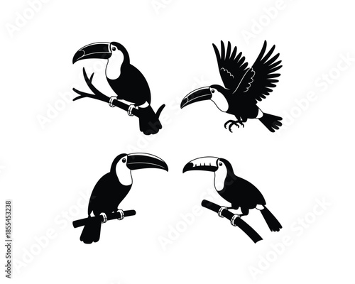 Toucans silhouettes, toucan on tree, toucan flying with wings, Flying toucan vector silhouette illustration set collection, toucan silhouette, toucans silhouettes, toucan bird, flying toucan