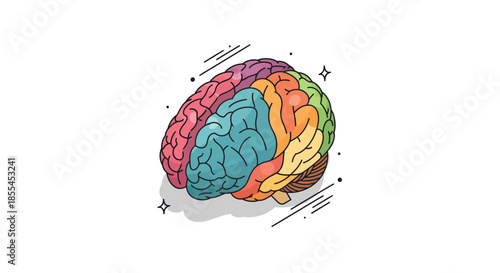 Colorful brain illustration representing cognitive functions and mental processes.