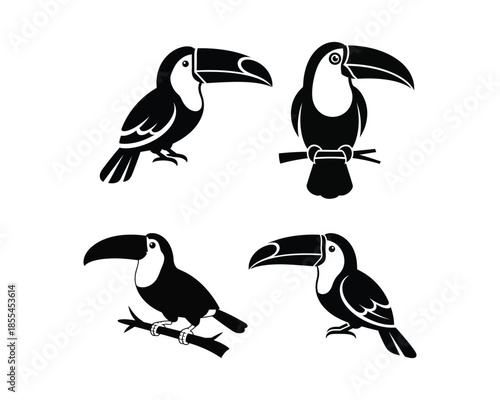 Toucans silhouettes, toucan on tree, toucan flying with wings, Flying toucan vector silhouette illustration set collection, toucan silhouette, toucans silhouettes, toucan bird, flying toucan