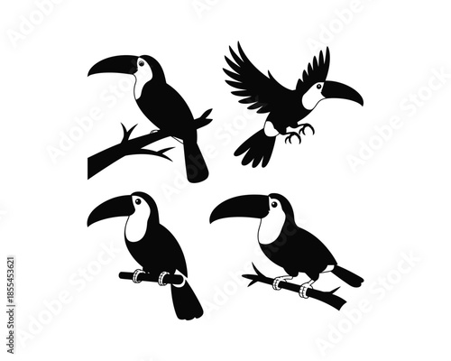 Toucans silhouettes, toucan on tree, toucan flying with wings, Flying toucan vector silhouette illustration set collection, toucan silhouette, toucans silhouettes, toucan bird, flying toucan
