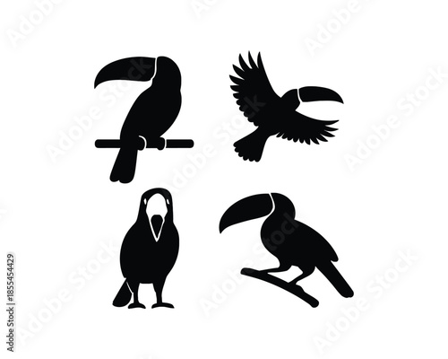 Toucans silhouettes, toucan on tree, toucan flying with wings, Flying toucan vector silhouette illustration set collection, toucan silhouette, toucans silhouettes, toucan bird, flying toucan