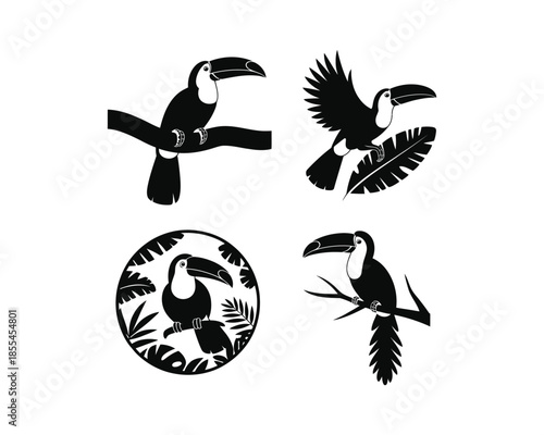 Toucans silhouettes, toucan on tree, toucan flying with wings, Flying toucan vector silhouette illustration set collection, toucan silhouette, toucans silhouettes, toucan bird, flying toucan