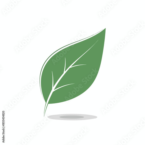 A stylized leaf, green with white outline and veins, slight shadow below