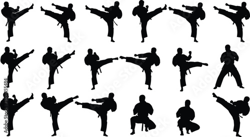 Silhouette martial arts poses collection featuring high kicks, stances, and traditional uniforms for combat training, fitness, and design use.