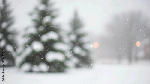 Snowfall in Winter Wonderland with Pine Trees and Blurry Background.