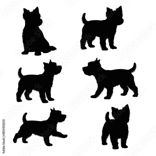 Silhouette Collection of West Highland White Terrier Poses.